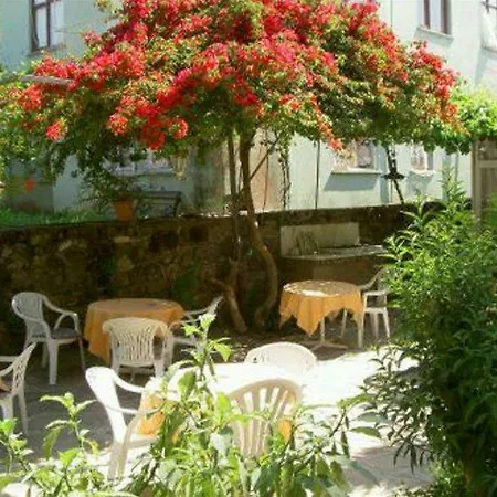 Πανσιόν Begonville Σιντέ