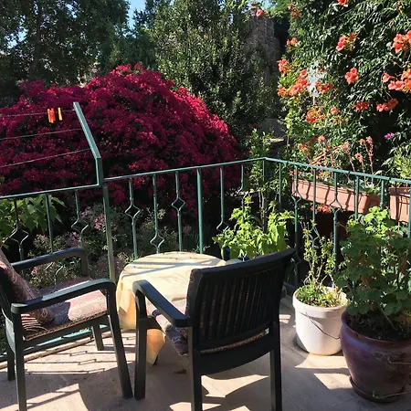 Begonville Πανσιόν