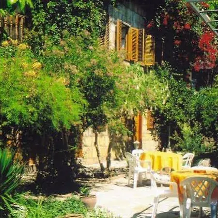 Begonville