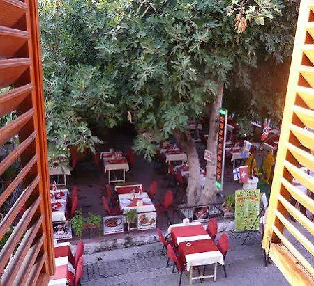 Begonville Guest house