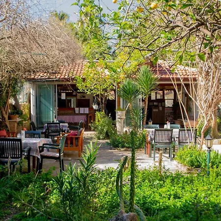 Begonville بيت ضيافة سيدي