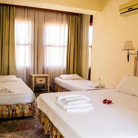 بيت ضيافة Begonville سيدي