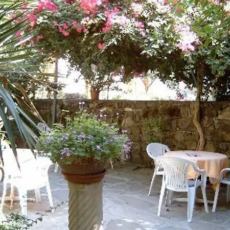 Begonville 2*